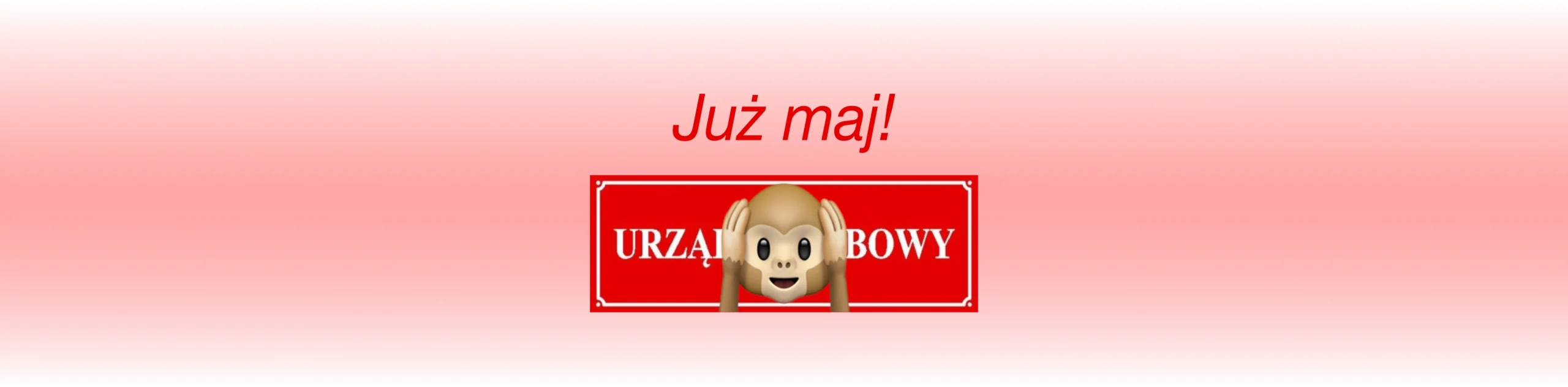 Małpka załamana
